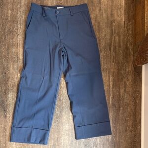 Loft High Rise Wide Leg Blue Pants